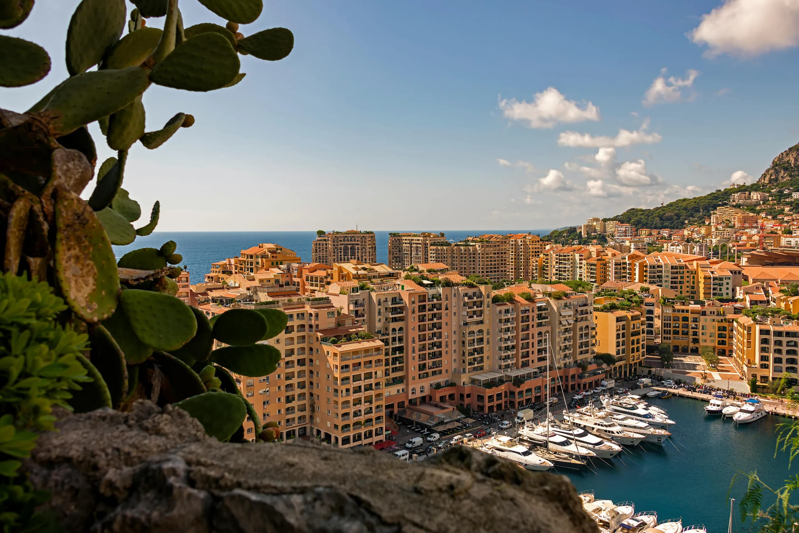 Monaco seen from the hillside through foliage, the harbour and its terraces below.