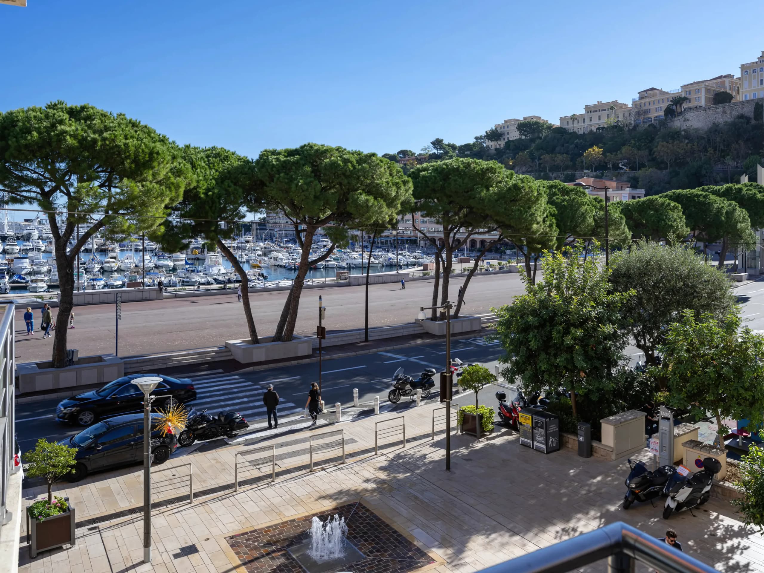 The quayside at Port Hercule, plane trees along the promenade and the Rock rising beyond.